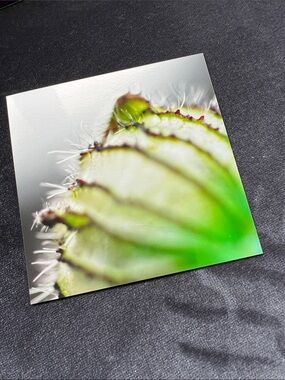 SEED POD ART PRINT